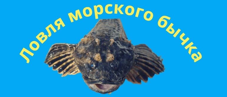 Ловля морского бычка