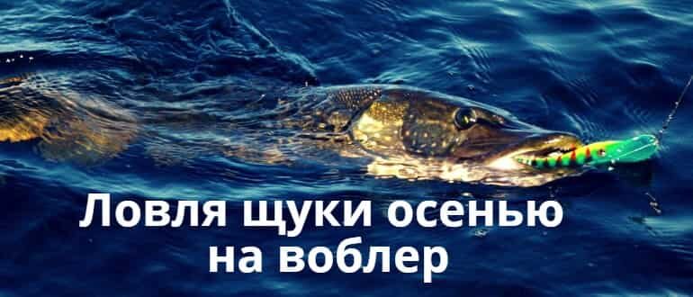 Ловля щуки осенью на воблер