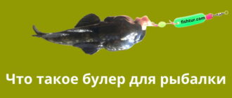 Что такое булер для рыбалки?