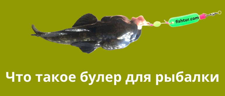 Что такое булер для рыбалки?