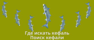 Где искать кефаль